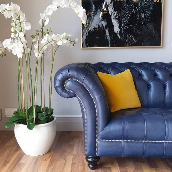 ALEXANDRIA CHESTERFIELD - Classic Chesterfield