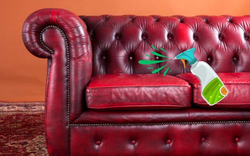 Leather Care Oil on chesterfield