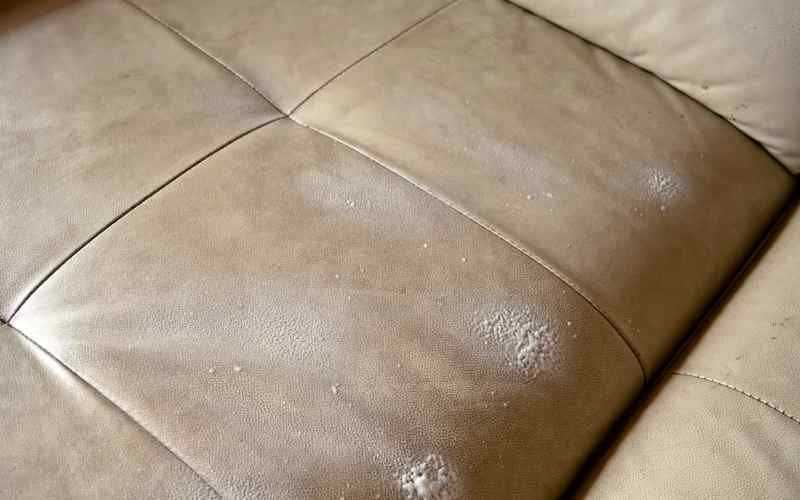 cleaning leather oil