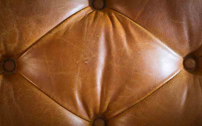 texture of genuine Leathers